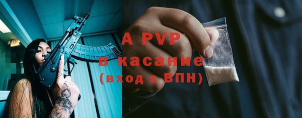 хмурый Ветлуга