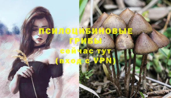 СК Мегион