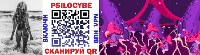 Псилоцибиновые грибы мицелий  Нязепетровск 